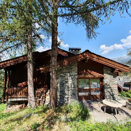 Chalet Familial Cosy Avec Cheminee, 5 Pers. A - Fr-1-353-135